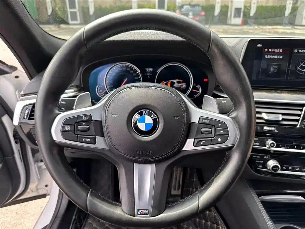 BMW 5 Series 2018 530Li Premium M Sport Package фото 6
