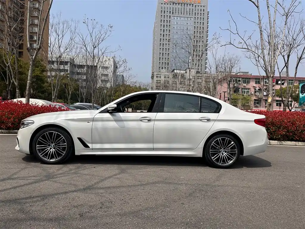 BMW 5 Series 2018 530Li Premium M Sport Package фото 4