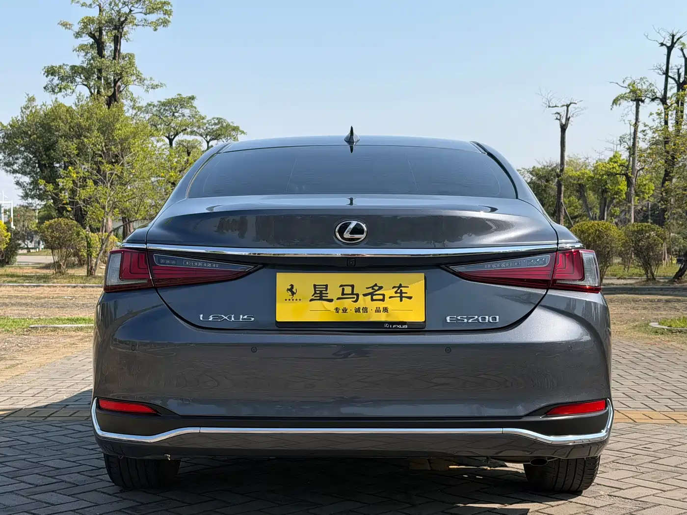 Lexus ES 2021 200 Excellence Edition фото 14