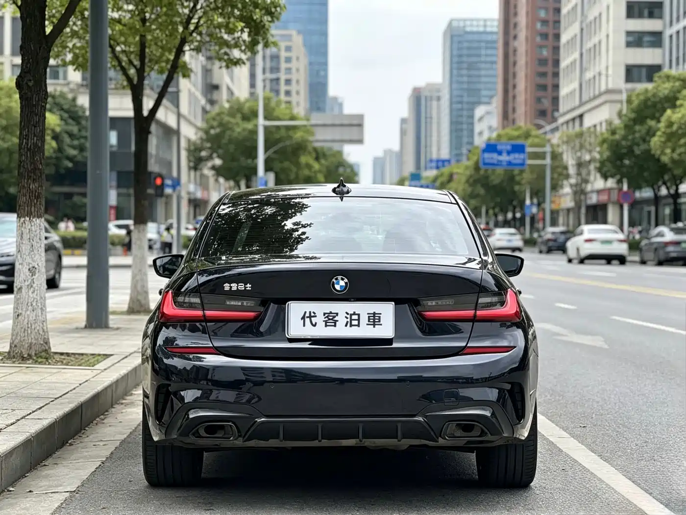 BMW 3 Series 2021 325i M Sport Night Edition фото 8