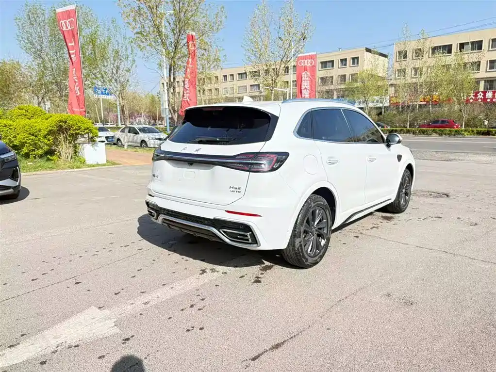Hongqi HS5 2023 2.0T Flag Enjoy Pro Edition фото 11