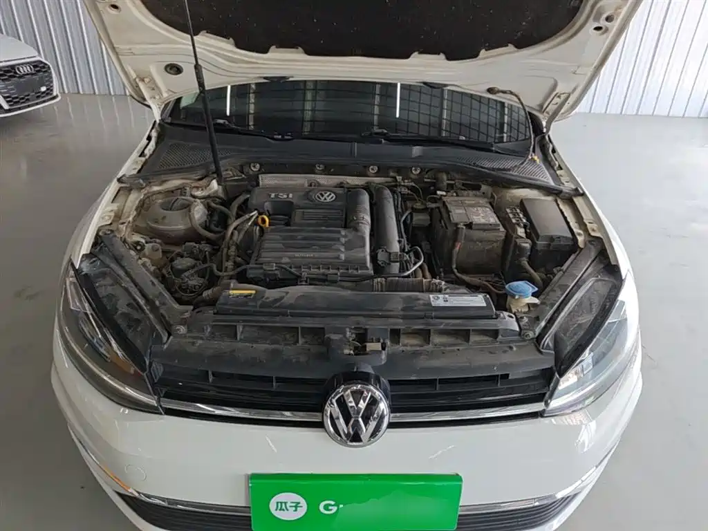 Volkswagen Golf 2019 200TSI DSG Comfort Progressive China VI фото 20