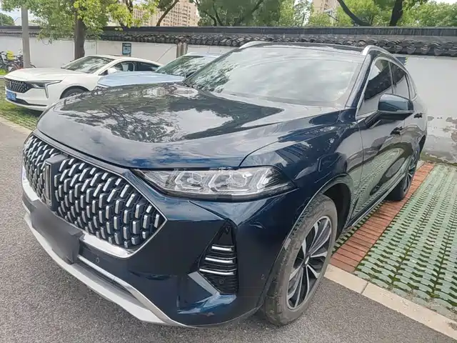  WEY Wey Mocha 2021 2.0T 2WD Premium Edition