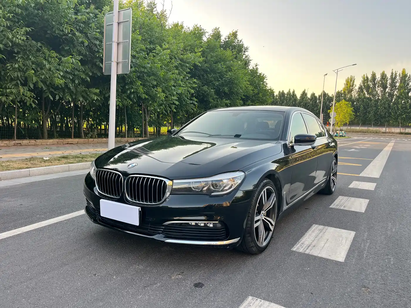 BMW 7 Series 2017 730Li Leading Edition