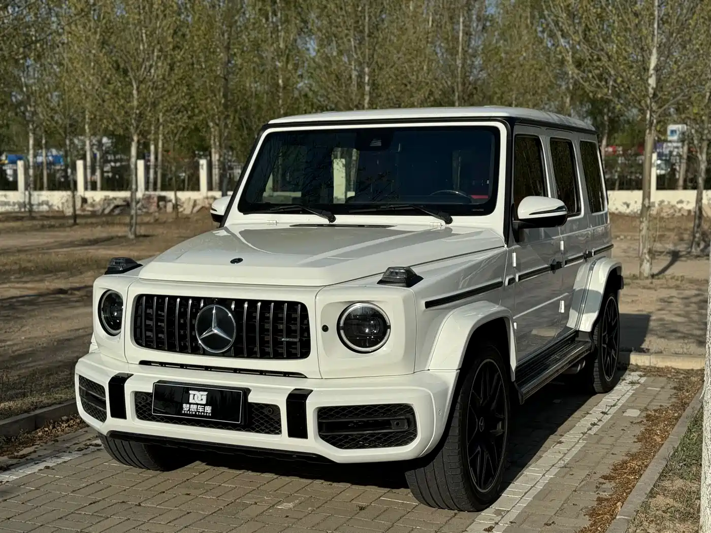MERCEDES-BENZ G CLASS AMG
