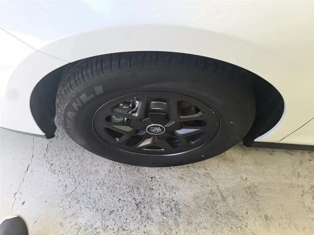 BYD Qin PLUS 2025 DM-i Smart Drive 55KM Leader фото 23