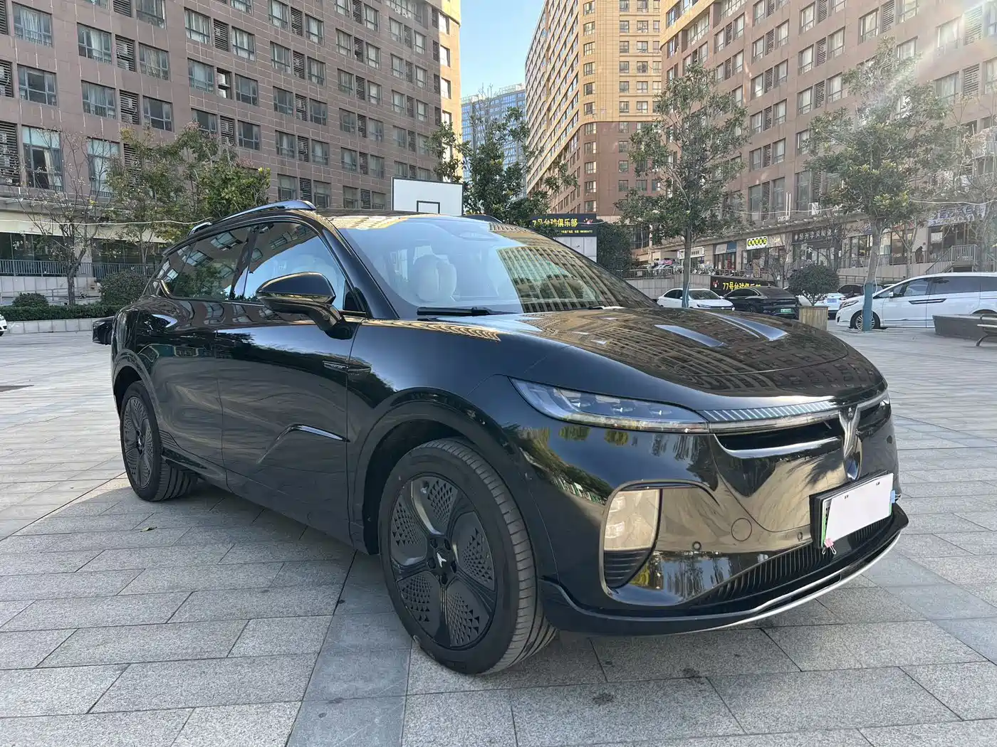 Voyah Auto Voyah Zhiyin 2024 Long Range Smart Edition фото 3