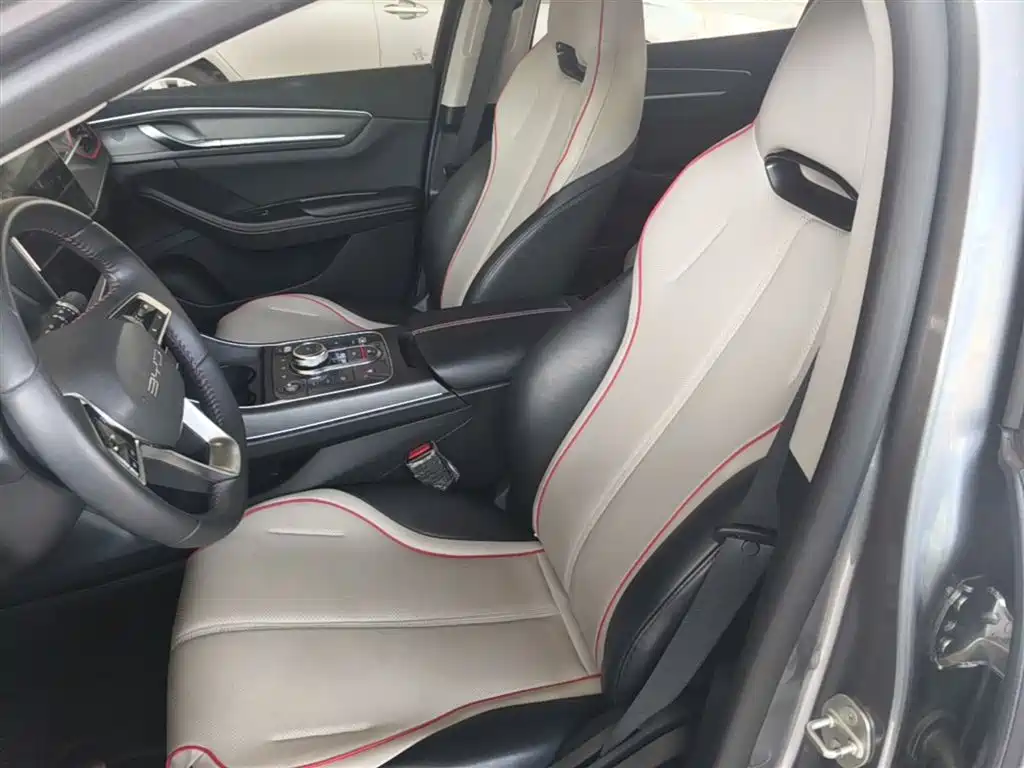 BYD Destroyer 05 2023 Champion Edition DM-i 55KM Luxury фото 15