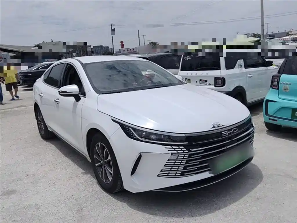 BYD Destroyer 05 2024 Glory Edition DM-i 55KM Luxury фото 4
