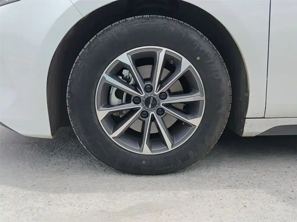 BYD Destroyer 05 2024 Glory Edition DM-i 55KM Luxury фото 23