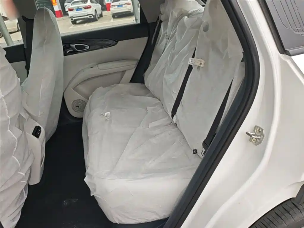 Geely Galaxy Starry Wish 2026 Model 310km Dream Edition фото 17