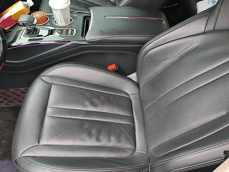 Hongqi HS3 2023 2.0T 4WD Achievement Edition фото 9