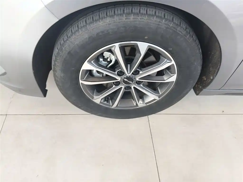 BYD Destroyer 05 2023 Champion Edition DM-i 55KM Luxury фото 23