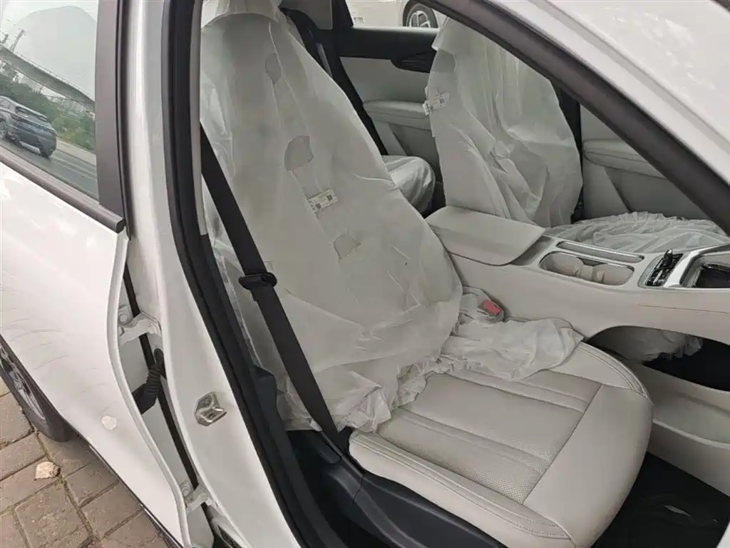 Geely Galaxy Starry Wish 2026 Model 310km Dream Edition фото 25