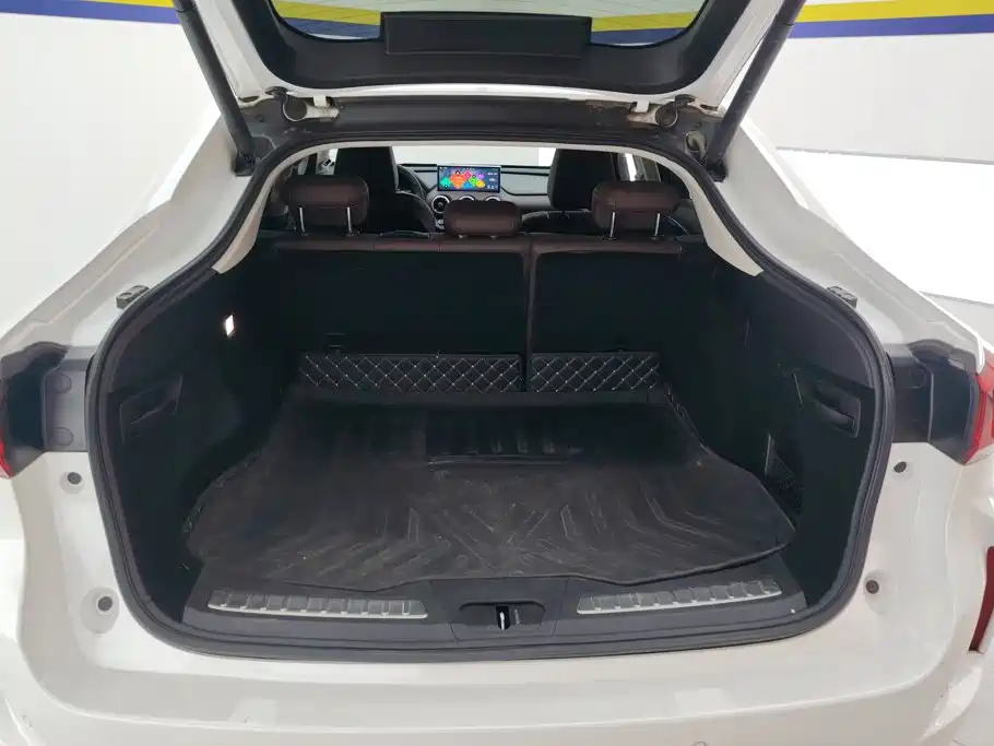 WEY Wei VV7 GT 2020 2020 2.0T Flagship