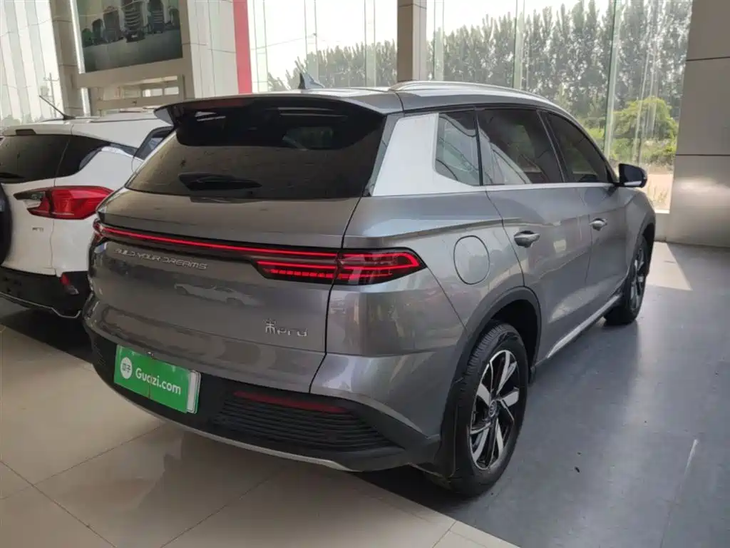 BYD Song Pro New Energy 2024 Glory Edition DM-i 71KM Pilot фото 7