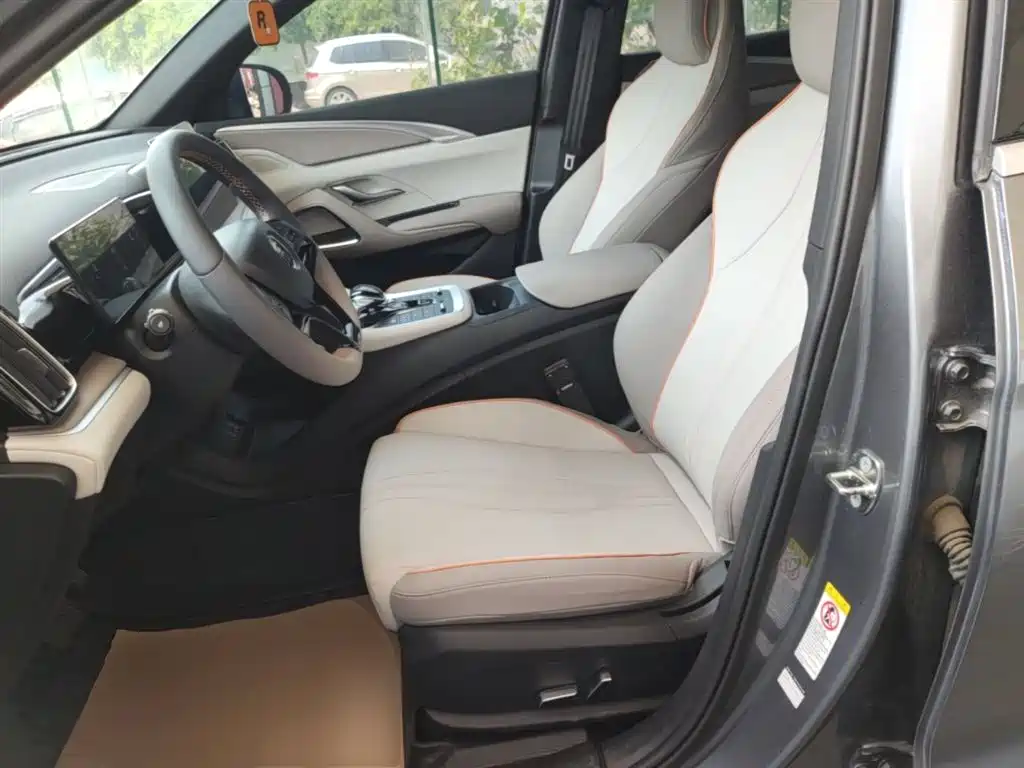 BYD Song Pro New Energy 2024 Glory Edition DM-i 71KM Pilot фото 15