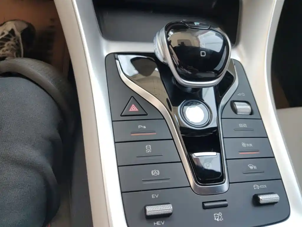 BYD Song Pro New Energy 2024 Glory Edition DM-i 71KM Pilot фото 14