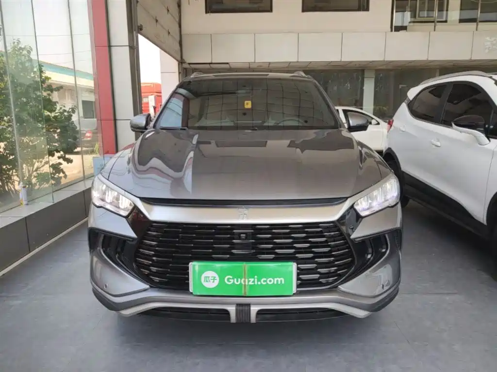 BYD Song Pro New Energy 2024 Glory Edition DM-i 71KM Pilot фото 3