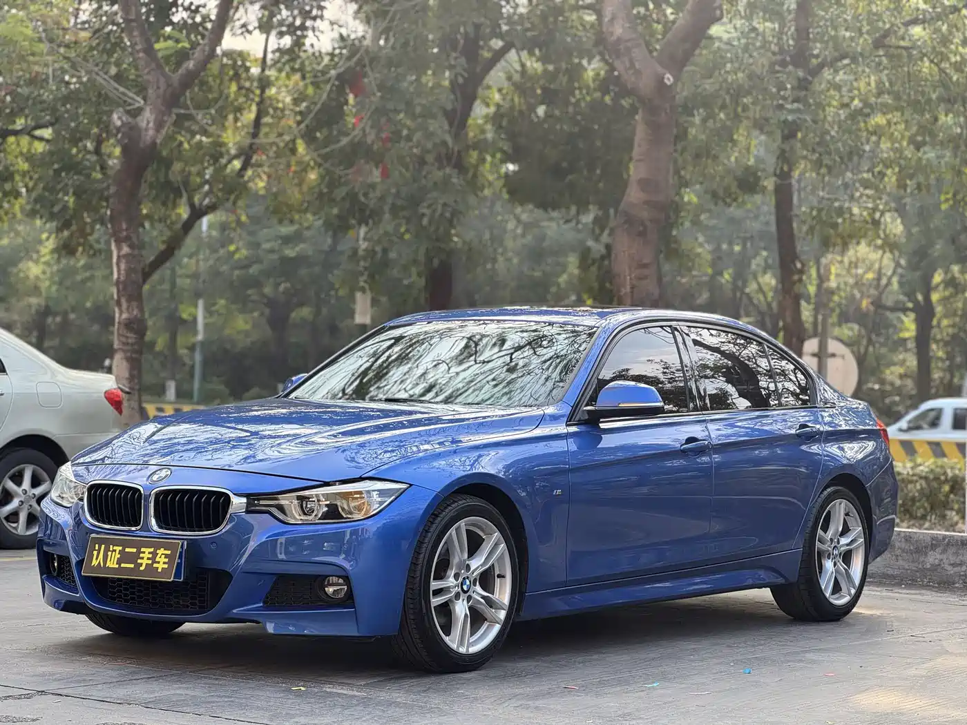 BMW 3 Series 2019 320Li M Sport Package