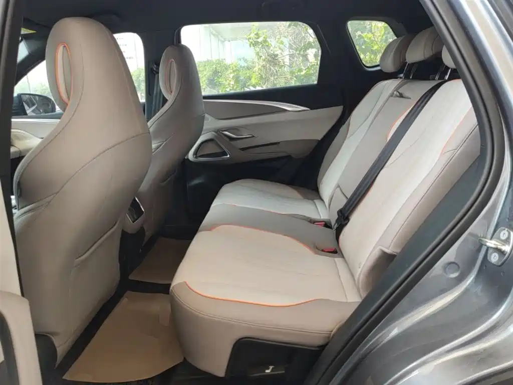 BYD Song Pro New Energy 2024 Glory Edition DM-i 71KM Pilot фото 17