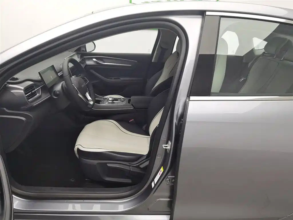 BYD Destroyer 05 2023 Champion Edition DM-i 55KM Luxury фото 10