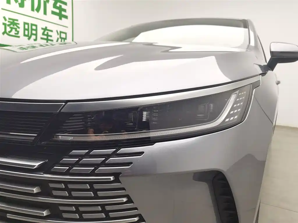BYD Destroyer 05 2023 Champion Edition DM-i 55KM Luxury фото 7