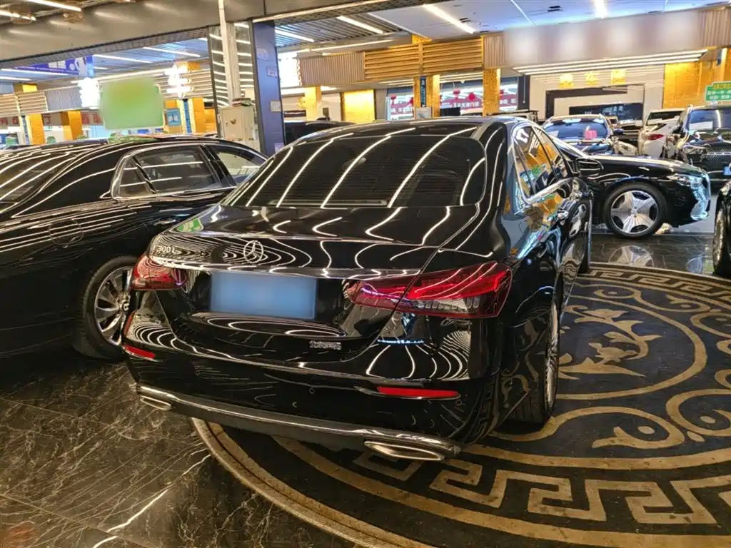 Mercedes-Benz E-Class 2023 E 300 L Luxury фото 7