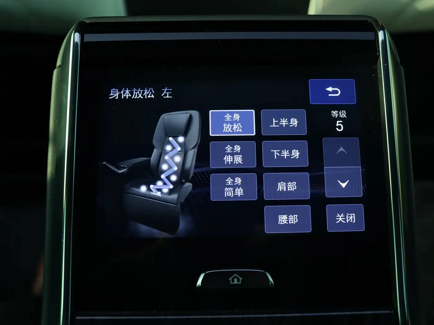Lexus LM 2020 300h 4-Seat Imperial Edition фото 16