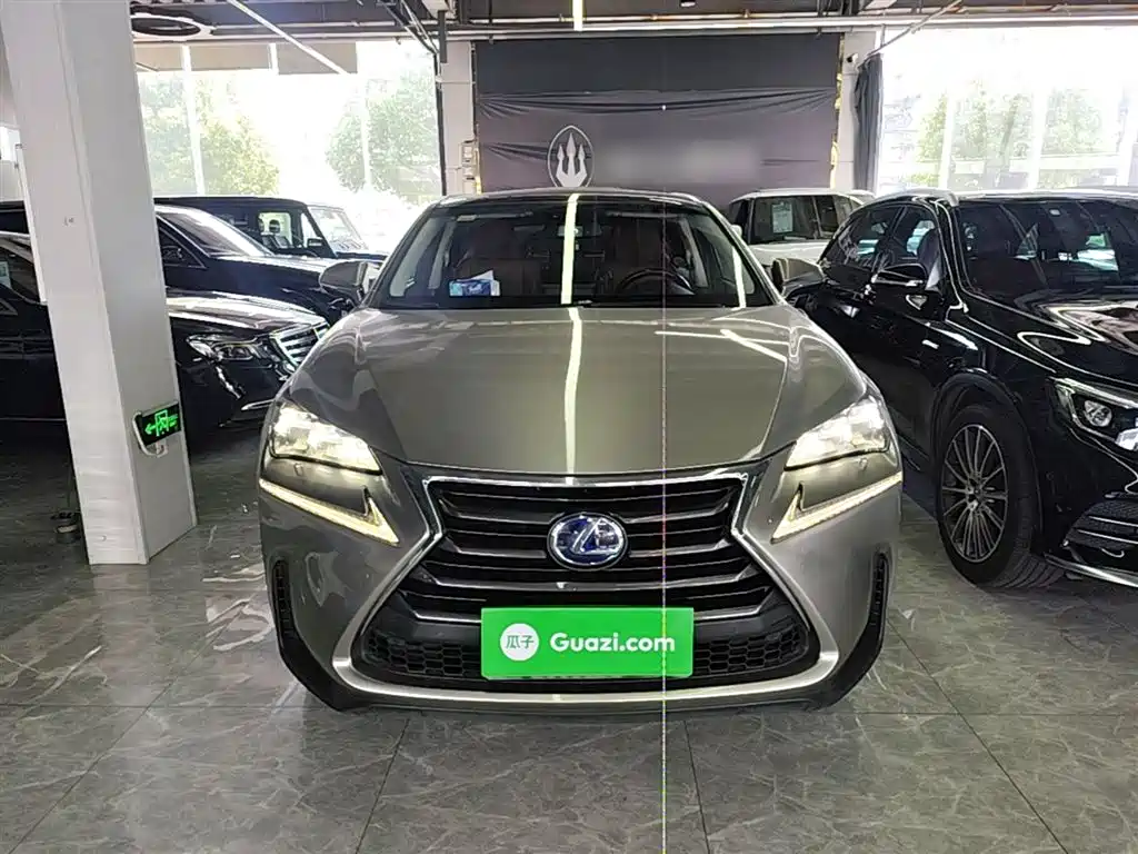 Lexus NX 2015 300h AWD F SPORT фото 3