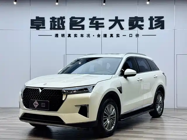  Venucia Venucia Star 2021 260T Auto 48V Mild Hybrid Star Edition