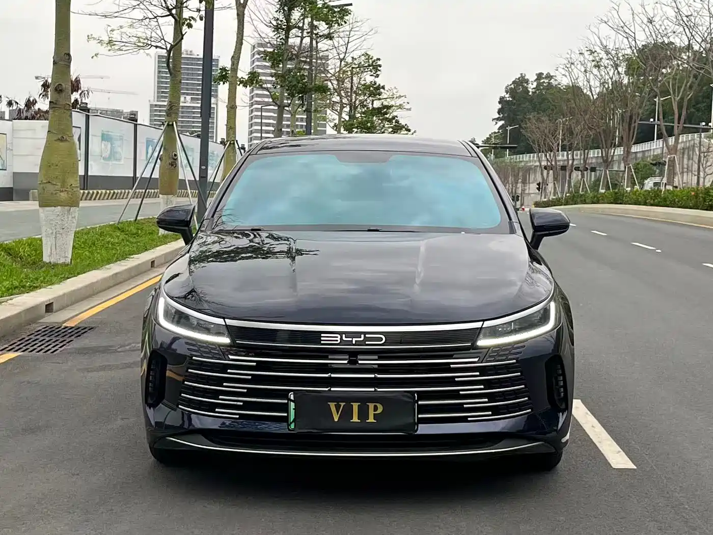 BYD Destroyer 05 2024 Glory Edition DM-i 55KM Luxury фото 2