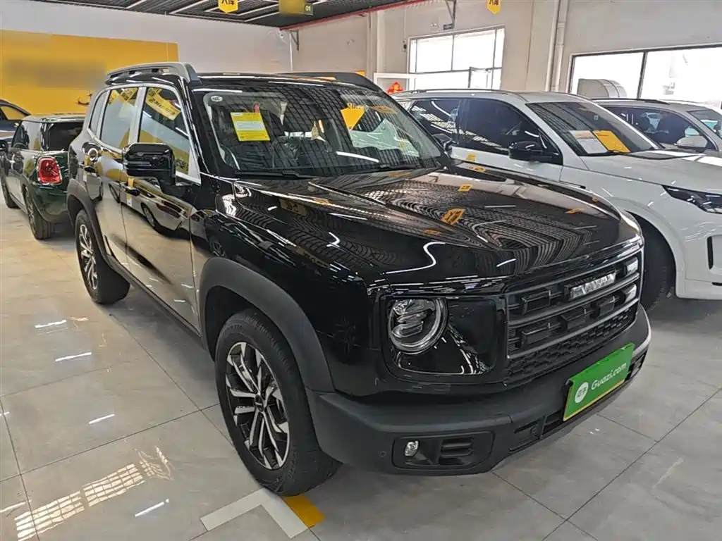 Haval Big Dog 2026 Model 1.5T High Configuration фото 4