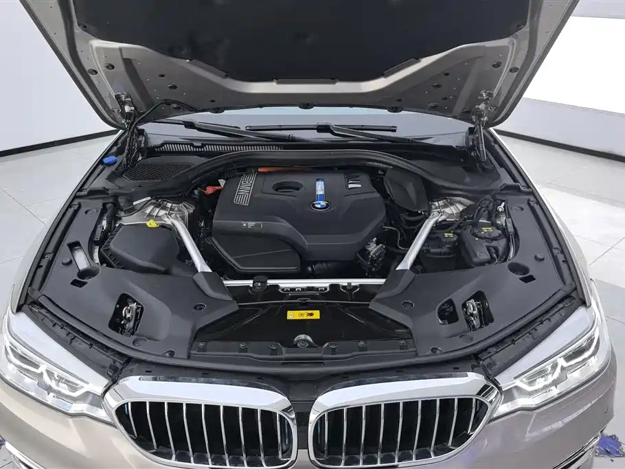 BMW 5 Series New Energy 2018 530Le Luxury Package фото 10