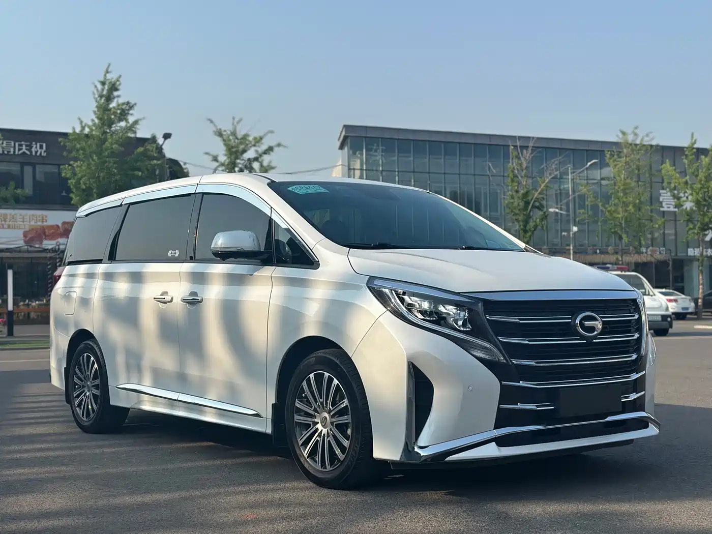 GAC Trumpchi Trumpchi M8 2021 Leading Show Series 390T Ultimate Edition фото 3