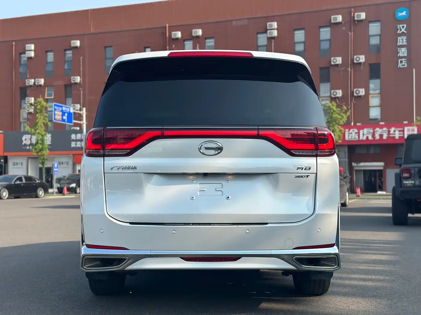 GAC Trumpchi Trumpchi M8 2021 Leading Show Series 390T Ultimate Edition фото 6