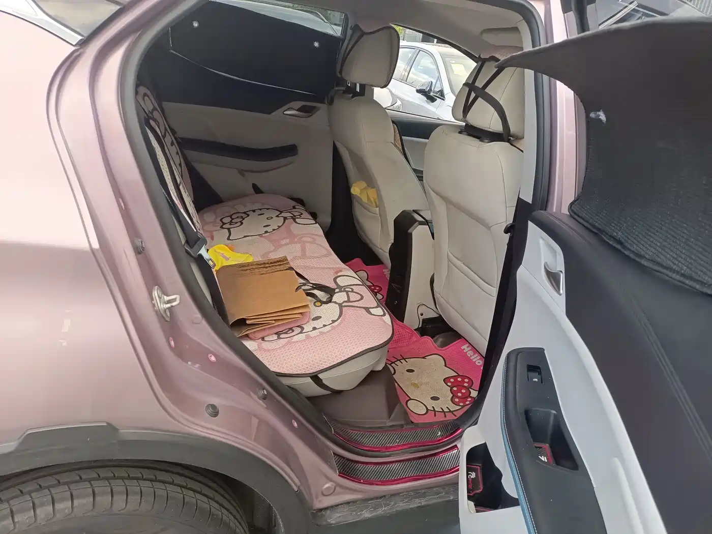 BYD Yuan Pro 2023 2023 320KM Luxury