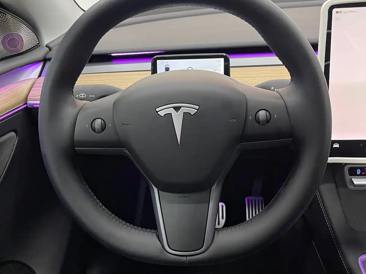 Tesla Model Y 2022 Facelift Rear-Wheel Drive Version 4