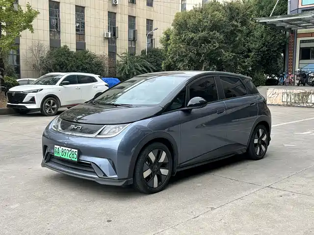 BYD Dolphin 401km, Knight