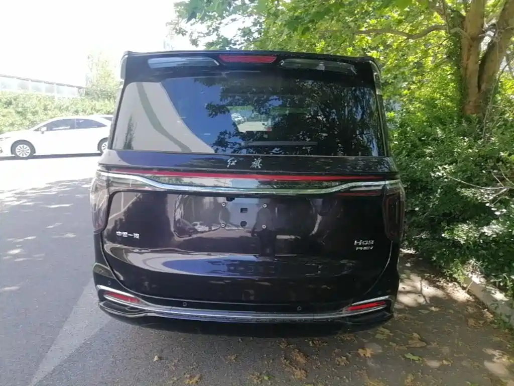 Hongqi HQ9 PHEV 2024 Model 2.0T AWD Business Edition фото 4