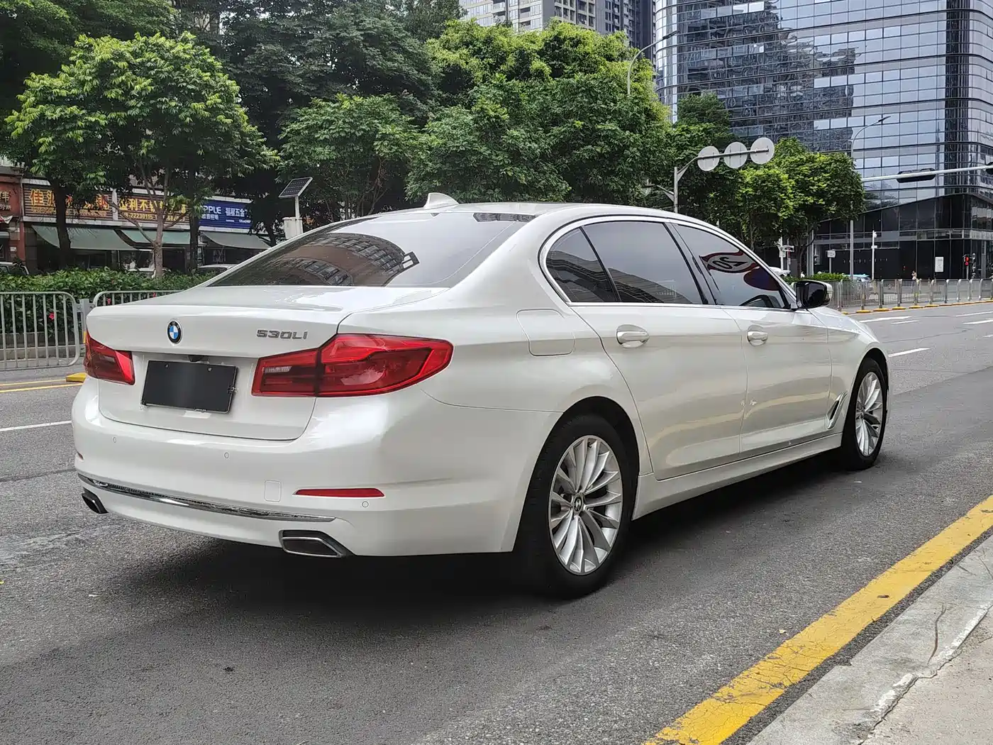 BMW 5 Series 2019 530Li Leading Luxury Package фото 5