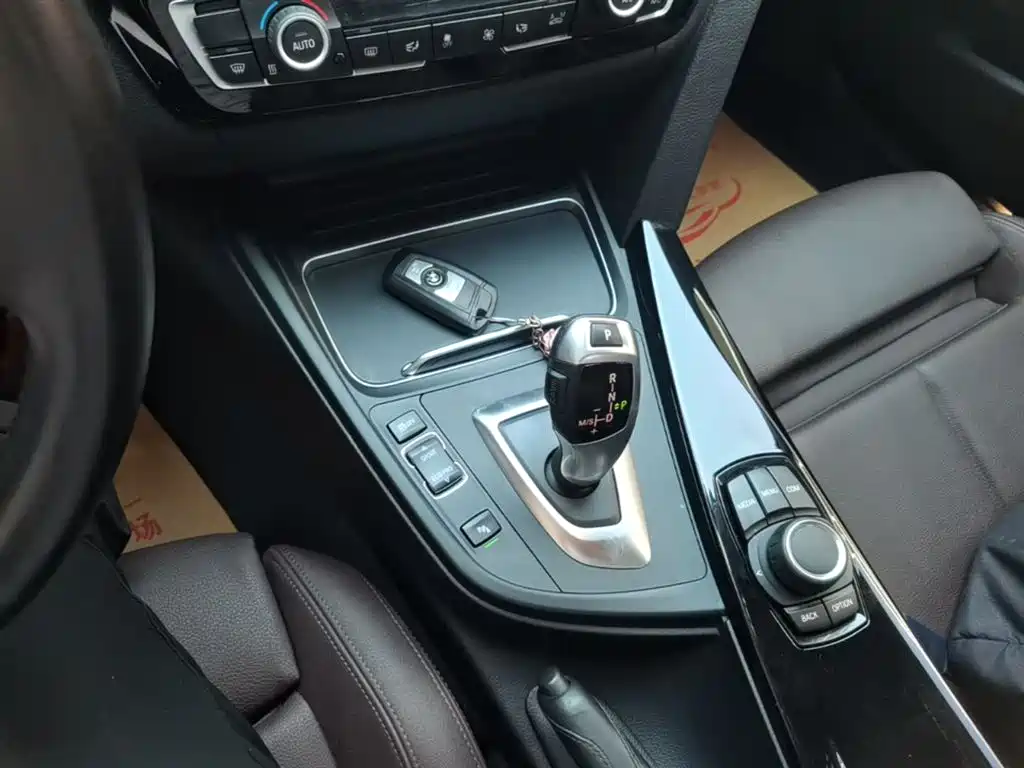 BMW 3 Series 2018 320Li Fashion Style фото 14