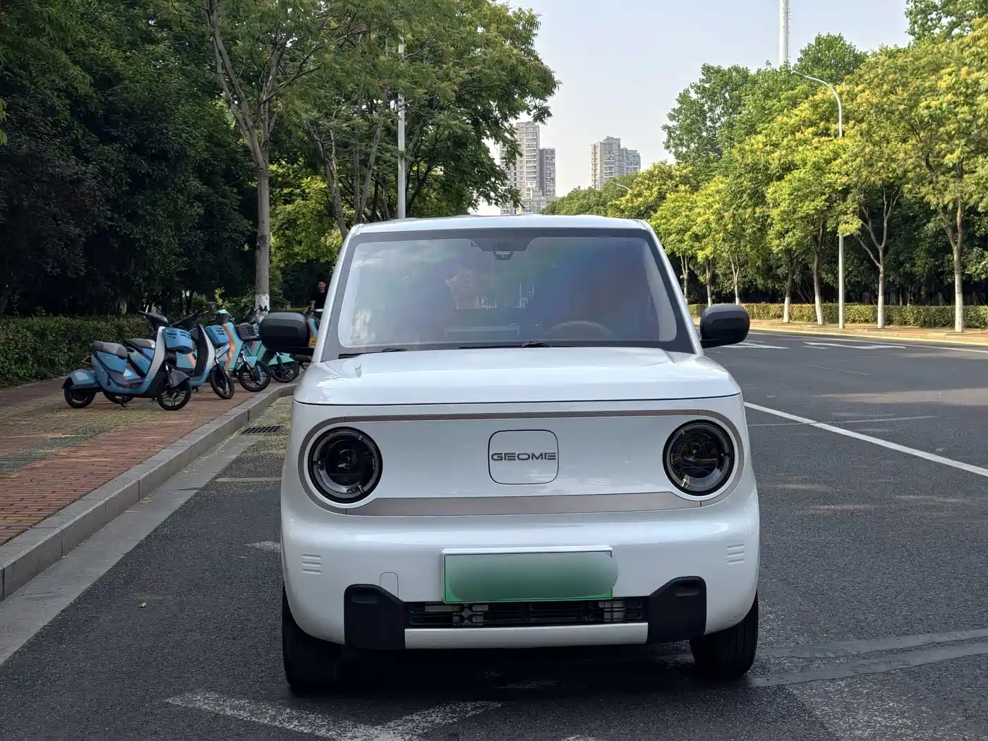 Geely Galaxy Panda 2023 Panda Mini 200km Endurance Bear фото 2