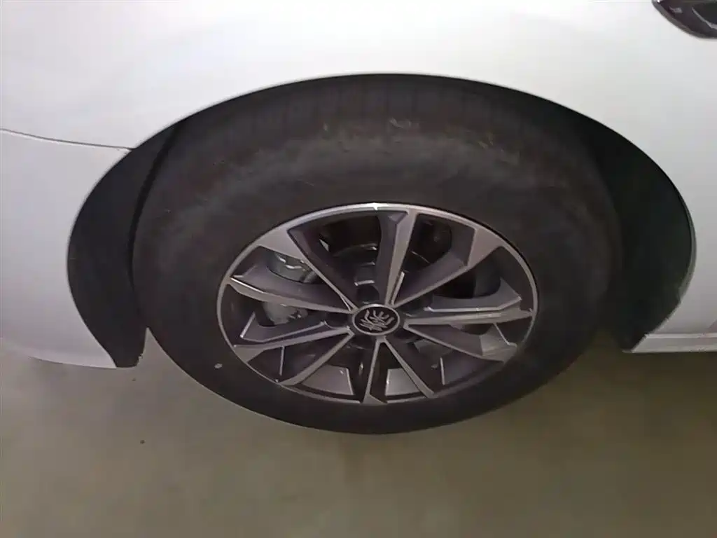 BYD Qin PLUS 2024 Glory Edition DM-i 55KM Leading фото 23