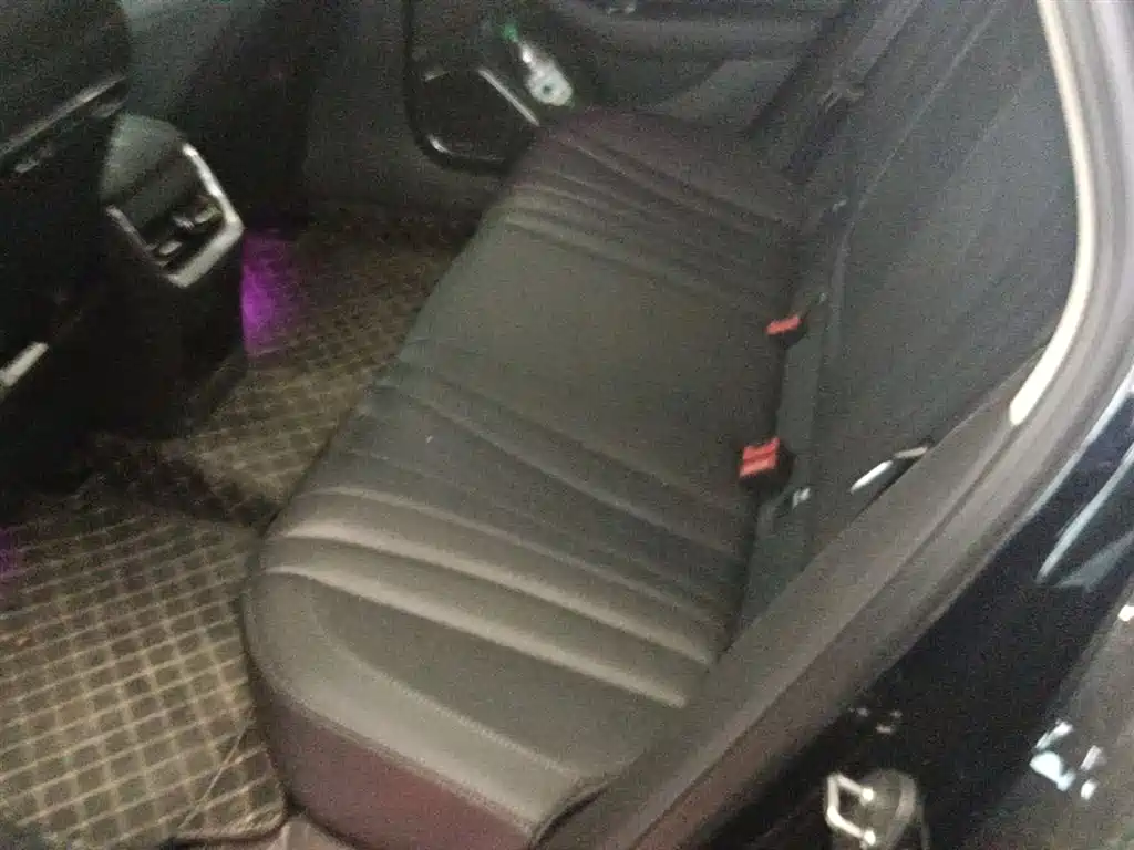 Hongqi H5 2024 2.0T Automatic Smart Connect Flag Smooth Edition фото 17