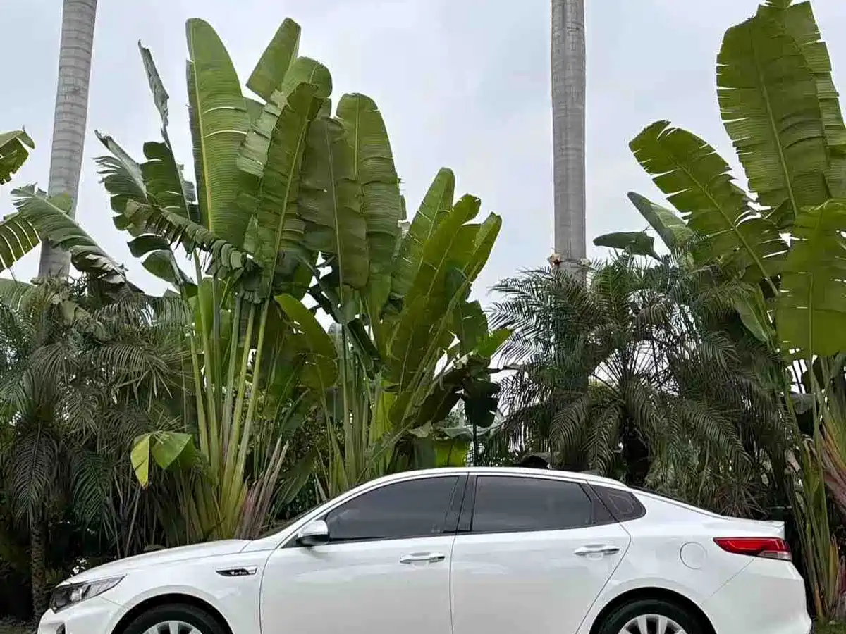 Kia K5 2016 1.6T Automatic LUX фото 7