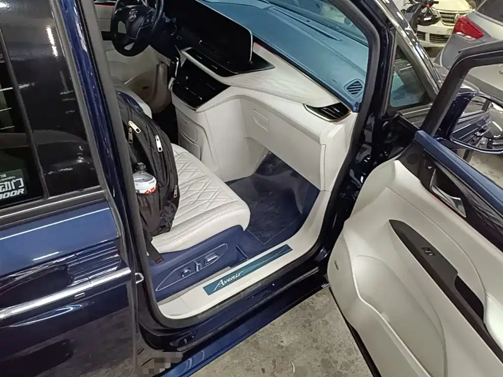 Buick GL8 2020 Avenir Four-Seat Prestige Edition фото 11
