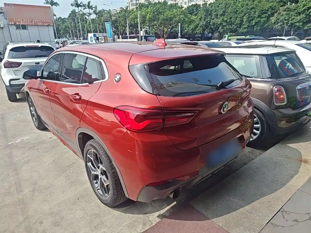 BMW X2 (Import) 2019 sDrive20i M Off-Road Package China VI фото 5