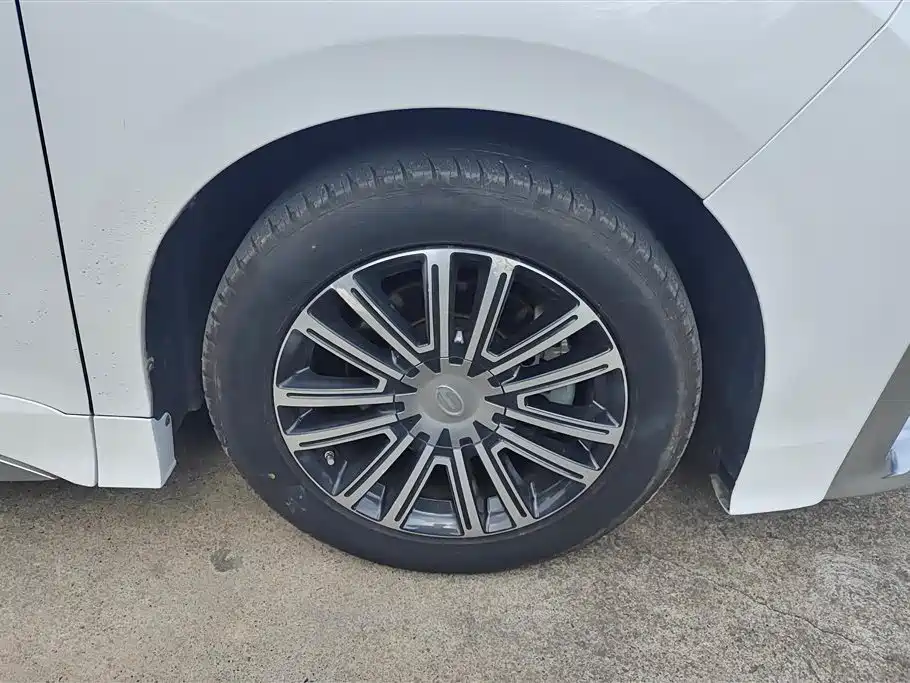 GAC Trumpchi Trumpchi M8 2021 Master Series 390T Prestige Edition фото 6
