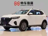 Фото 1 - Roewe RX5